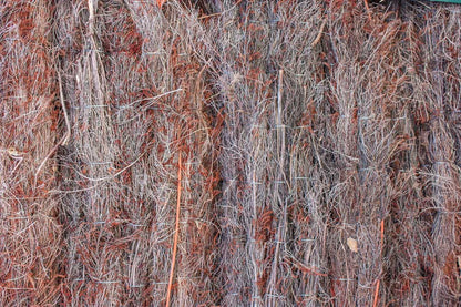 Brande de bruyère naturelle en rouleau épaisseur 3cm Jardi Pond