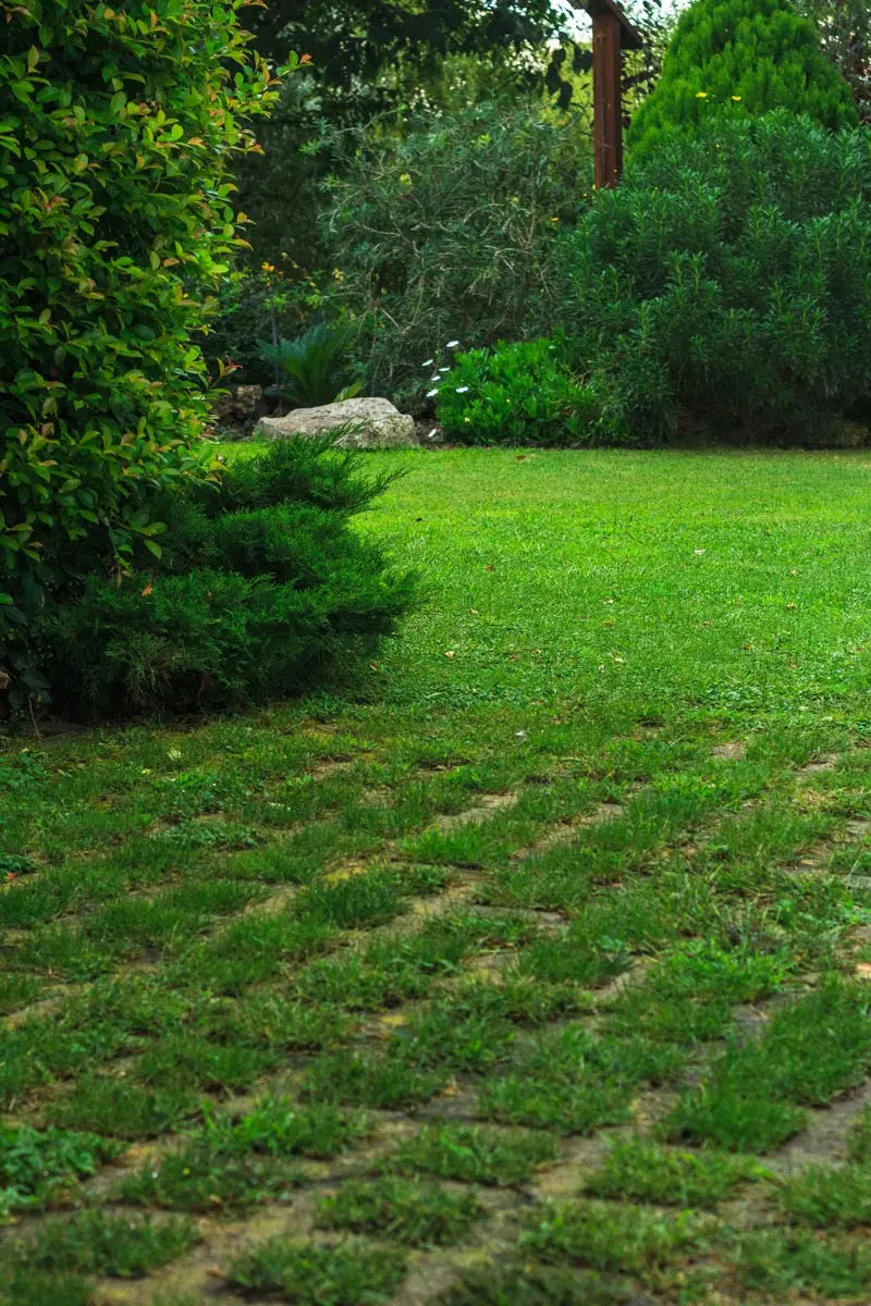 CAMPUS VITAL - Graine gazon 5kg Jardi Pond