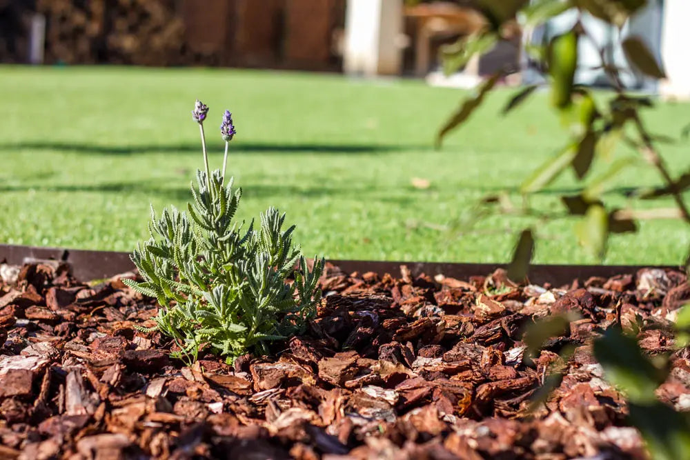 CAMPUS VITAL - Écorces de pin 50L Jardi Pond