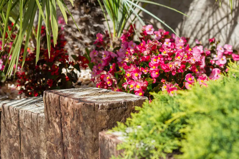 CAMPUS VITAL - Engrais multigreen Jardi Pond