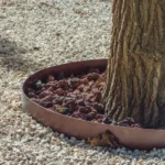 bordure en acier corten souple circulaire autour d'un tronc