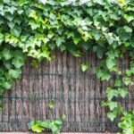 brande de bruyère naturelle en rouleau