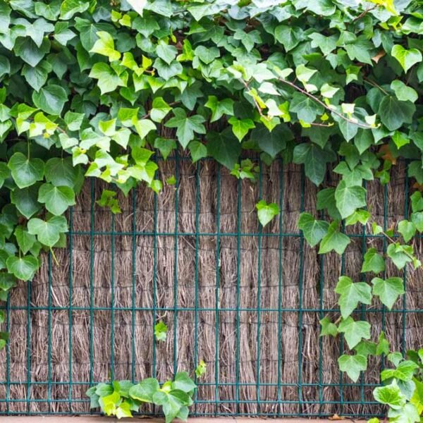 brande de bruyère naturelle en rouleau