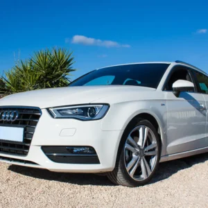 Plaque stabilisatrice pour gravier en polyéthylène