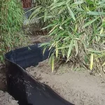 barrière anti racines 0,1x60cm