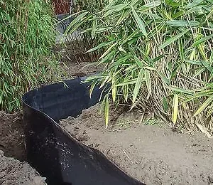 Barrière anti-racines 0,1x60cm