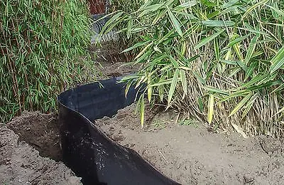 barrière anti racines 0,1x60cm