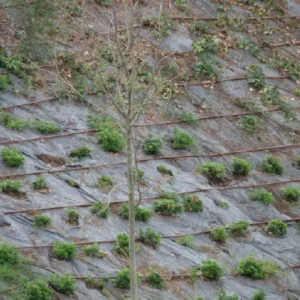 Géotextile en polyester