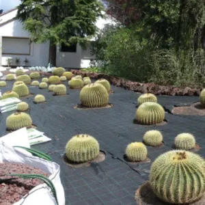 Toile de paillage tissée en polypropylène
